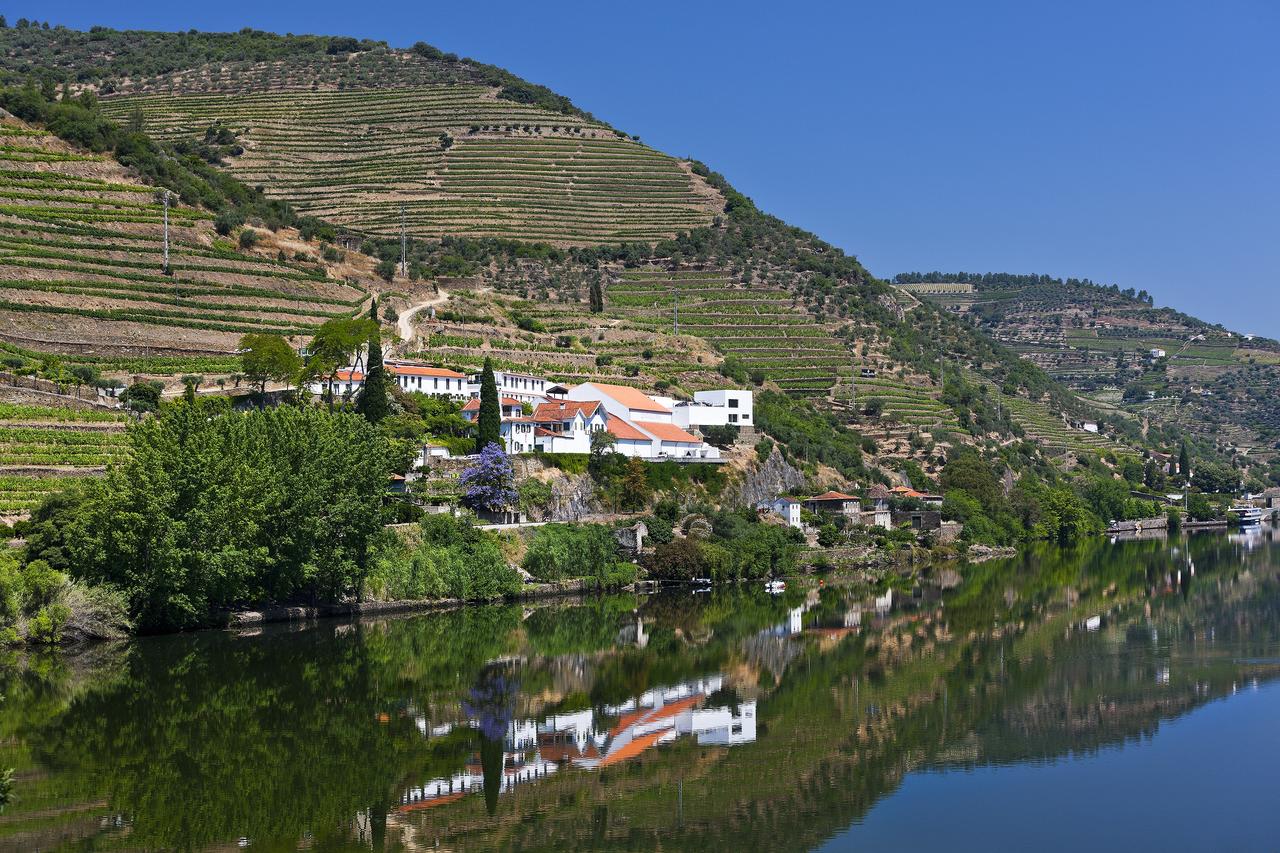 As cinco melhores Quintas para uma prova de vinhos no Alto Douro