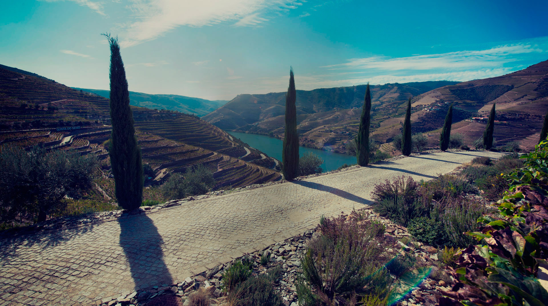 As cinco melhores Quintas para uma prova de vinhos no Alto Douro