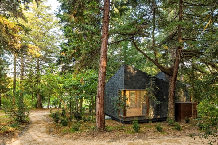 Pedras Salgadas Spa & Nature Park, o paraíso onde pode dormir numa casa de árvore
